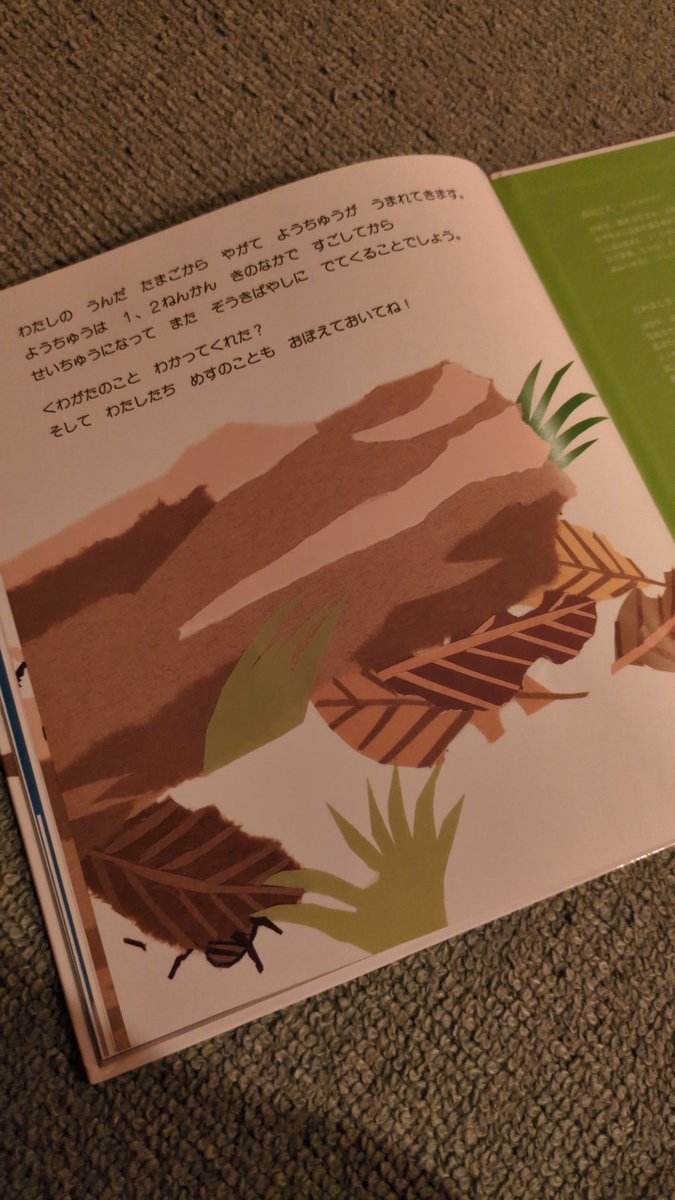_root_04's tweet photo. すっかり虫にハマってしまった我が子のための絵本。メスクワガタがせっせと卵を産んで最後は落ち葉の下で力尽きたけど子どもが成虫になって枯れ木から顔を出す頃には小さな木になっている構成が、子供向けの本なのに切なくなってしまいました。 https://t.co/U1h7qLlYMS