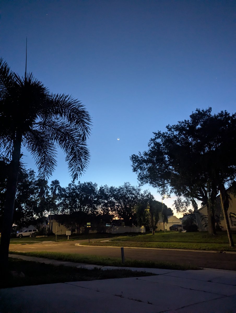 bnsbabe46's tweet photo. #Sunrise #Florida #TampaBay https://t.co/gkB7MEtIdK