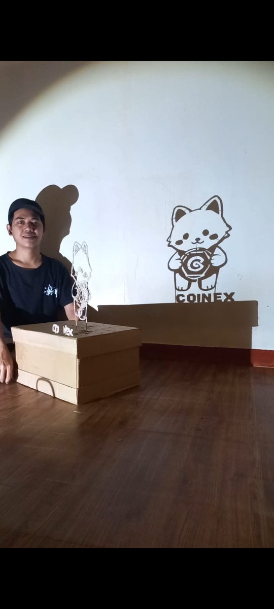 mishraanu030's tweet photo. My shadow art cardboard, it took me 6 hours to make @coinexcom
#CoinExKittyCatDay https://t.co/B4BUKur4in