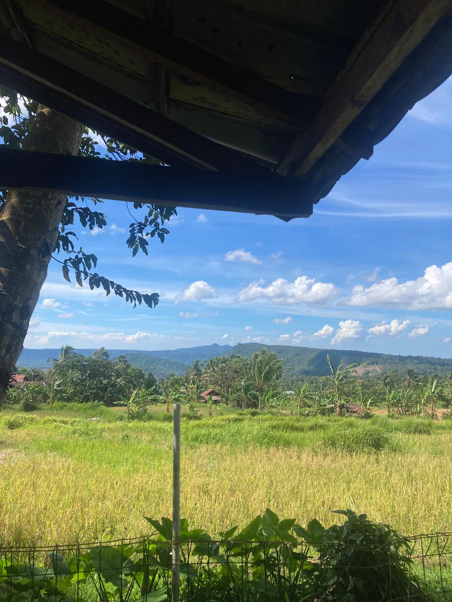 _tiarapr's tweet photo. 📍Waroeng Kebon, Ciomas https://t.co/Psm5FAB8hW