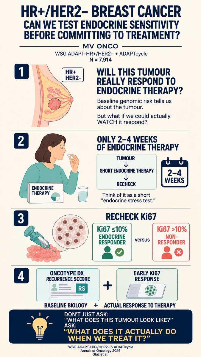 ChandrakanthMv's tweet photo. Can We “Test” Endocrine Sensitivity Before Committing to Treatment?

WSG ADAPT-HR+/HER2− & ADAPTcycle | N = 7,914

• Just 2–4 weeks of endocrine therapy, followed by Ki67 reassessment, acted as an early biological “stress test.”

• In premenopausal women, response increased: 34.7% tamoxifen → 56.0% tamoxifen + OFS → 78.0% AI + OFS.

• Remarkably, AI + OFS (78.0%) achieved a response similar to AI in postmenopausal women (76.7%).

• Clinical message: The apparent lower endocrine sensitivity in younger women may partly reflect treatment rather than age alone. Adequate ovarian suppression matters.

#MVOnco #BreastCancer #EndocrineTherapy #Ki67 #OvarianSuppression #PrecisionOncology