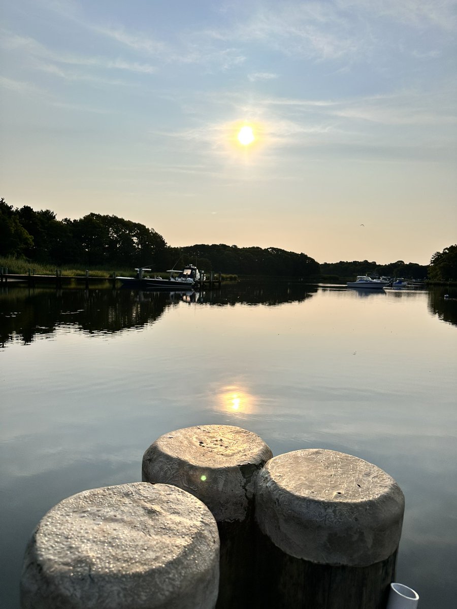 writermom62's tweet photo. Good Morning Dear Ones and Happy Magenta Monday!!🌺🌺 May your day be filled with love and inspiration today!!
#WritingCommunity #AmRevising https://t.co/gty7MDg2re
