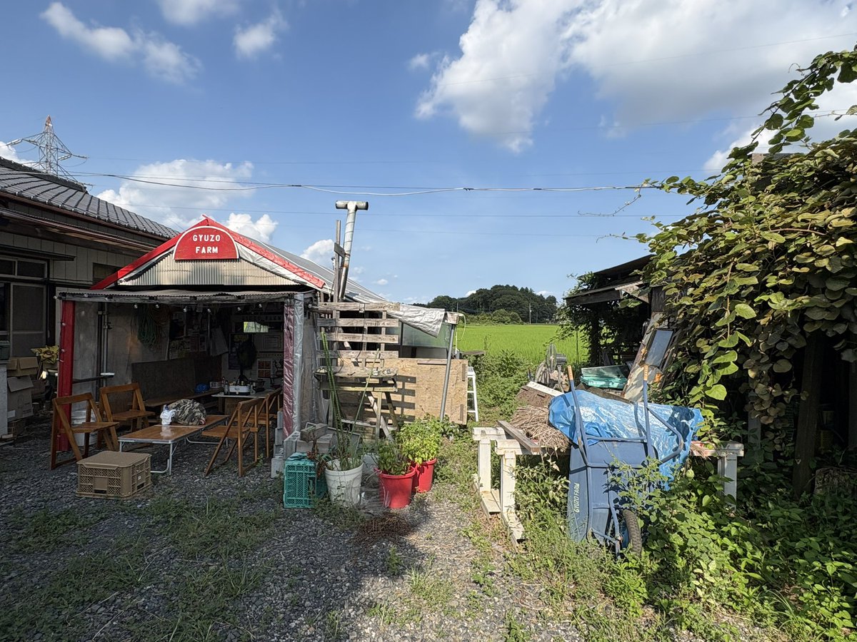 gyuzo_rock's tweet photo. 8/11（火・山の日）
12:00〜21:00（L.O 20:30）

本格ピザ窯焼きpizza
シシカバブ
他

ギュウゾウ農場（栃木県小山市）

#ギュウ農
#ギュウ農キッチン https://t.co/X9mzwcMfIP