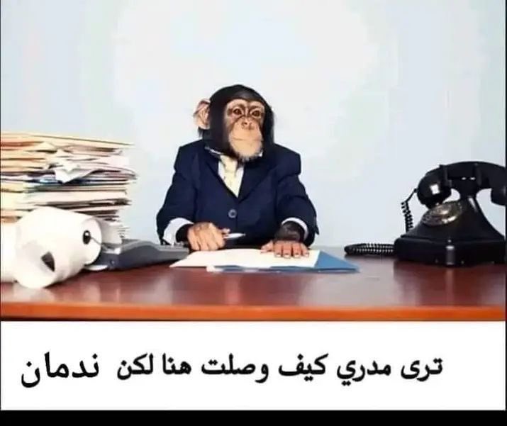 xiiauster's tweet photo. احساسي لاني من غير شر سينيور هالسنه https://t.co/61ssENcB69