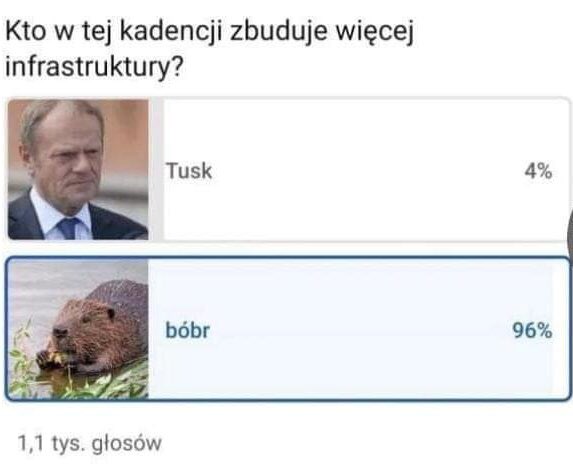 xtornado_pl's tweet photo. @KenobiObi75356 https://t.co/shjpjgH0u6