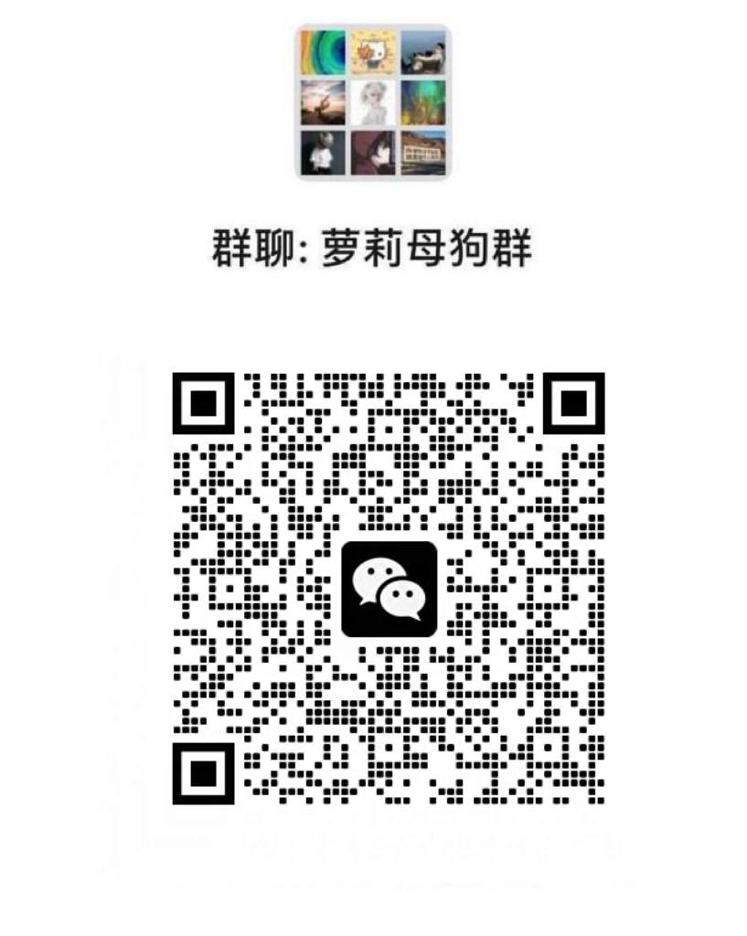oblolq591's tweet photo. 我想下跪，被扇耳光，被掐脖子，被拽着头发深喉，被大鸡巴插到逼里，被无视哀求强行内射。想被操完下面变得红肿的时候有人能给我舔 #阳具崇拜 #反差 #肉便器  #母狗 #做爱 #发骚 #口交 #口暴 #颜射 #乳交 #性瘾 #自慰 #性交 #萝莉 #下贱 #娇喘 #女喘 #反差 #舔b #淫荡 #骚货 #粉穴 #反差婊3 https://t.co/2xnM9l5PaB