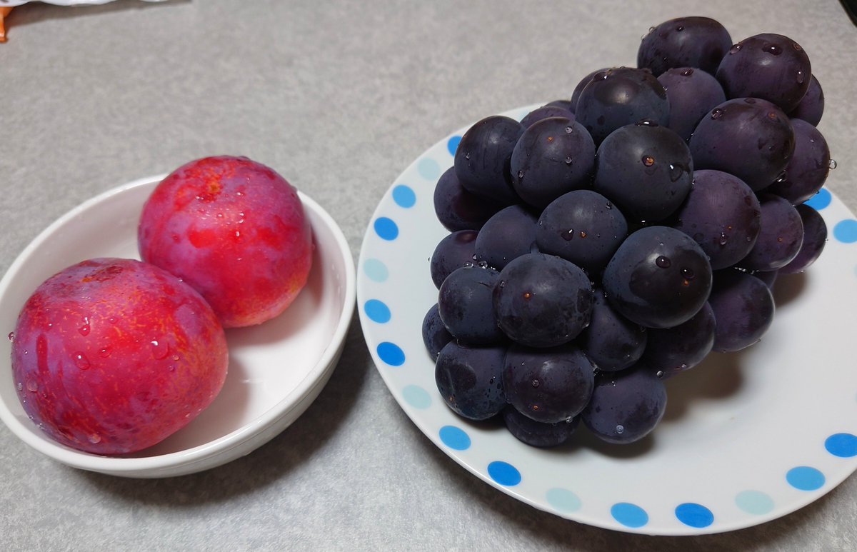 ma310_i's tweet photo. あー、夏って感じ🥳
あづましずくぶどう🍇
皇寿プラム🔴 https://t.co/affV9SbNBa