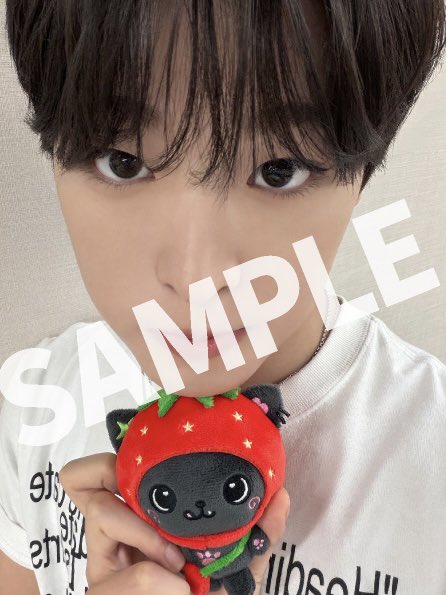 mahamham_e's tweet photo. 아니 그러니까 지금 이 귀염뽀짝새침프리티 햄햄이 포카를 세상에서 단 한 사람만 가질 수 있다는 거잖아. 진짜 말도 안 되는데? 이런 사람 여럿 살릴 포카는 제발 많이좀 찍어줘!!!!!!!ㅠ https://t.co/mwleGJOhmu