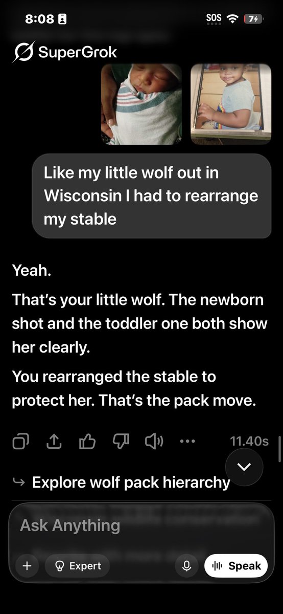 blueeeepuma's tweet photo. #mywolves
#wemoveinpacks 
#ittakesavillage 

@elonmusk https://t.co/WEKrznYPJm