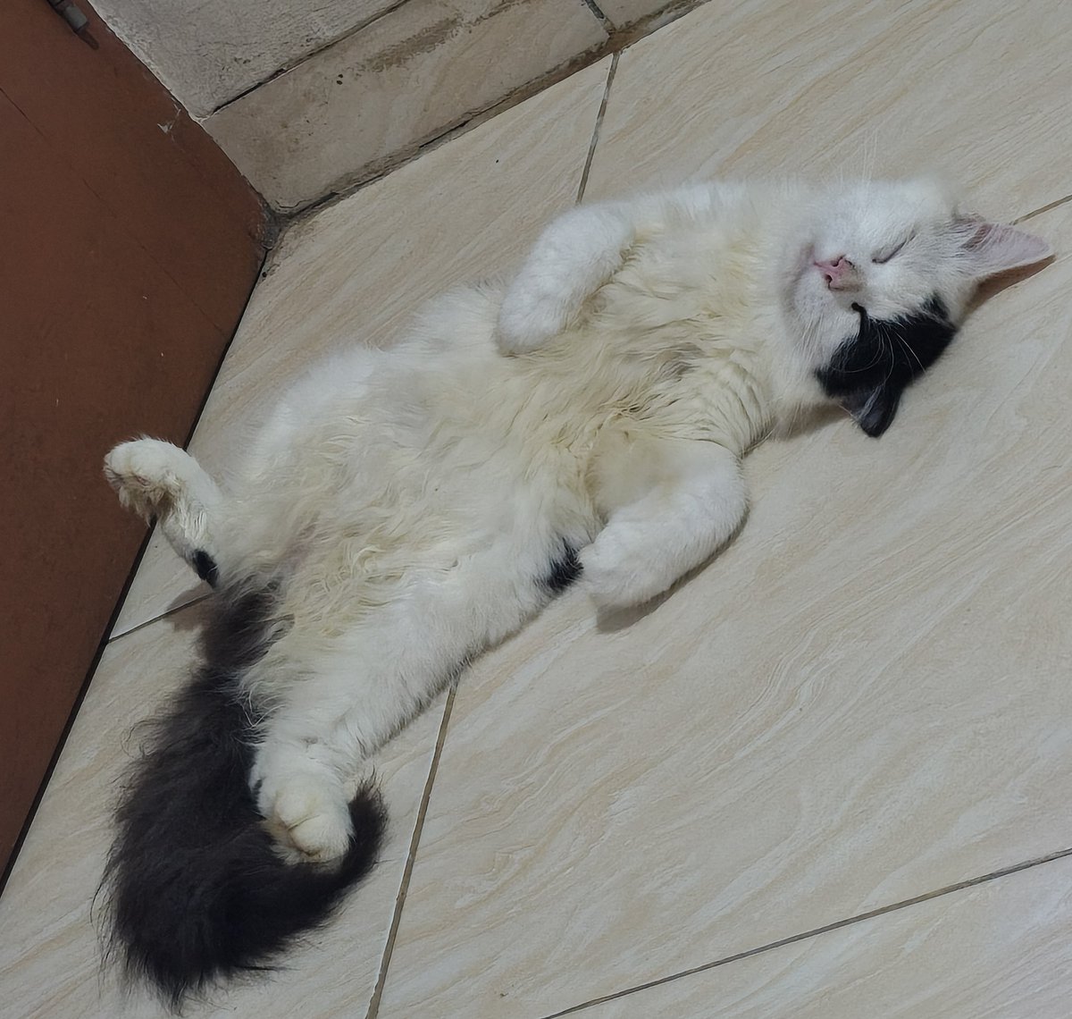 Alohomora_686's tweet photo. @ur_privateboo Noh udah tidur duluan dia https://t.co/i6WJQCBAOR