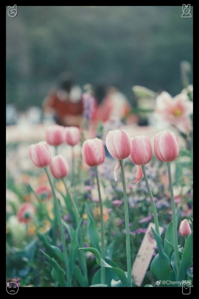 3wys424's tweet photo. "It ought to be just like that," Elias remarked. "Photography isn't meant to chase flawlessness. It's about seizing the instant, exactly as it unfolds—the highs, the lows, the chaos, the splendor. That's what gives it its magic. That's what elevates it to art." 📫 Tuck your https://t.co/wdWoTFJBib