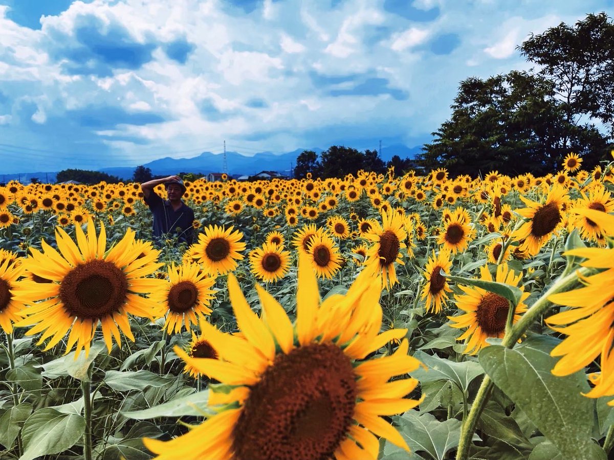DonCarlosV3's tweet photo. #花とおじさん #flowerman https://t.co/Zbp5g3FJHG