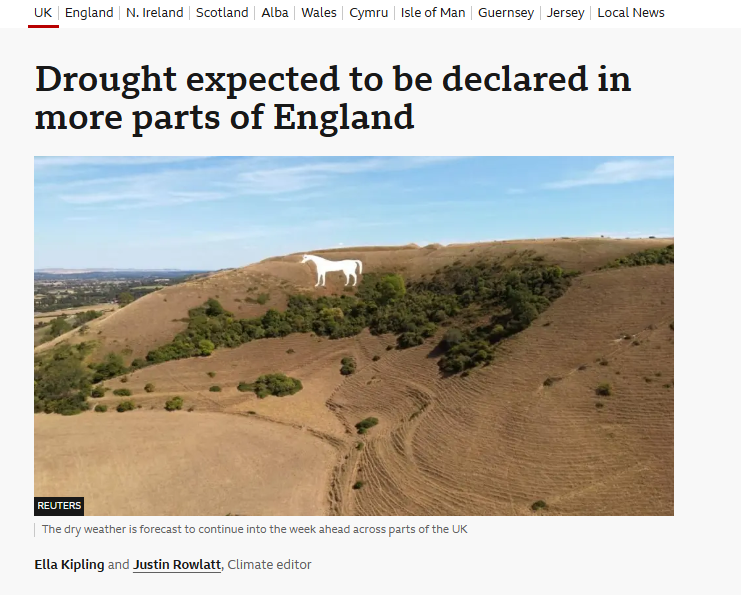 Peter2010531850's tweet photo. Patient, released, on you go, like that horse, into the relational drought, up on the hills, no one's around.

Others are at🏠glued to their💻📱

Meanwhile...back in the greenhouse...➿🕺💃➿ https://t.co/eRXVY269J4