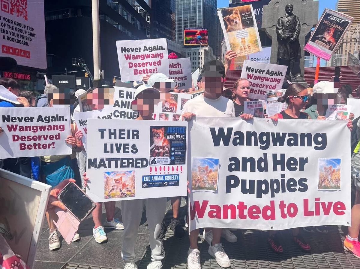 halrosiec's tweet photo. IT'S ANOTHER BEAUTIFUL DAY TO GET SOME JUSTICE!!!!!
#justiceforwangwang #boycottchina #boycottjieyang #china #chinatravel https://t.co/m3DQvEs6Zq