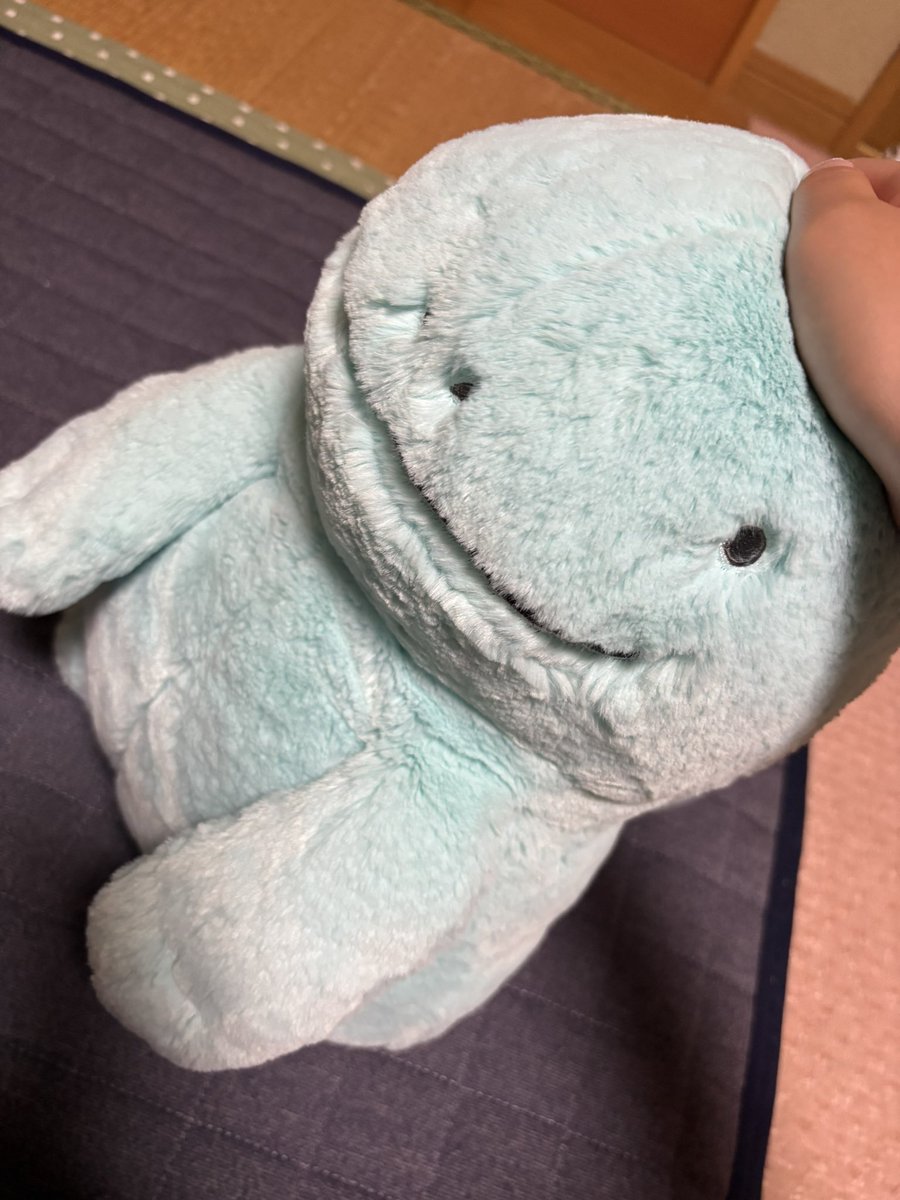 nuo_tane's tweet photo. 近所のセカストによったらぬおちゃんがショーケースに😳
こんな田舎にぬおちゃんがいること自体珍しいし、こんな目で見つめられたらもうお迎えするしかない！
ふわふわで中のわたも柔らかくてタグはなかったけど状態はかなり良かった！
台風が去ったら洗ってあげるから待っててね🩵 https://t.co/ubPabed1C0