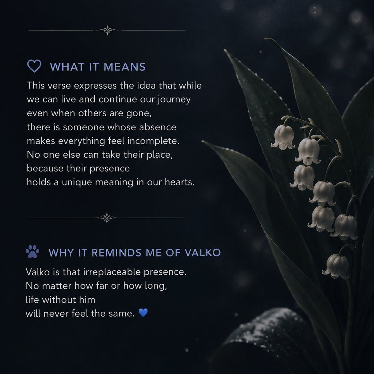 Parastoosakura's tweet photo. 🐾31 Days of Valko: Day 10 ✨

«بی‌همگان به سر شود، بی‌تو به سر نمی‌شود» -مولانا

“Life can go on without everyone else, but it cannot go on without you.”
— Rumi

As someone who reads a lot of poetry, I think this quote fits Valko so well. 💙🐺
#全世界都爱敖尹 #BringValkoBack https://t.co/Qe2BnnkVyi
