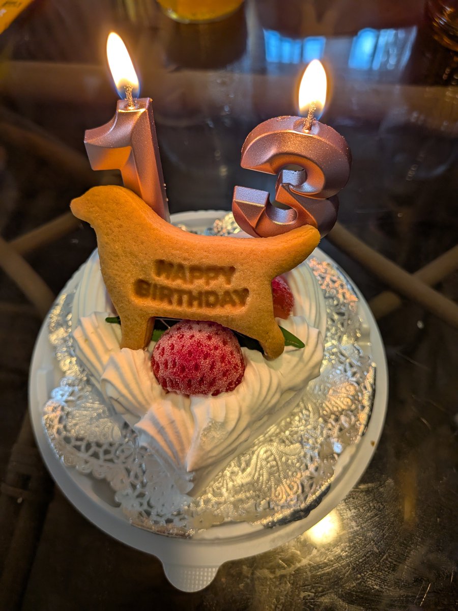 hinachu1902's tweet photo. 今日なつみ13歳の
お誕生日を迎えました🎂🎉

小さい頃から弱い子で
ずっと病院通いですが😂
こんなに長く一緒に居られる
事に感謝です🙏🩷️
去年の暮れから介護に近くなり
大病も見つかりました😭
これからの日々を大切に
穏やかに過ごさせてあげたいと
思っています😊🦁🩷️

なつみ🦁ありがとう☺️ https://t.co/RSXW1LY0KK