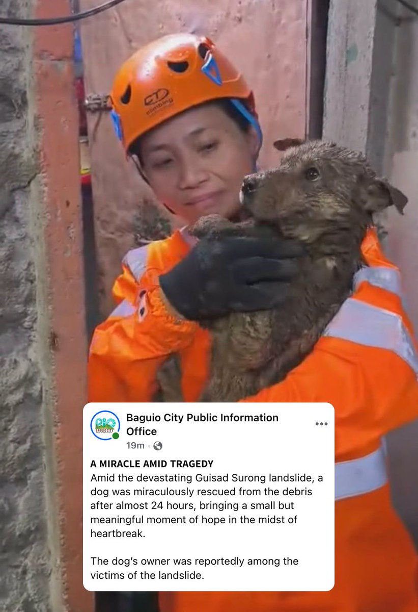 PhilippineStar's tweet photo. DOG SAVED FROM BAGUIO LANDSLIDE 🥹

A dog was successfully rescued from a landslide in Barangay Guisad Surong in Baguio City after almost 24 hours since the tragedy happened on Sunday due to heavy monsoon rains.

The Baguio City Public Information Office said that the dog’s owner was reportedly among the landslide victims.

As of 7 PM, the death toll has risen to seven, while three individuals remain missing. (Facebook/Baguio City Public Information Office)