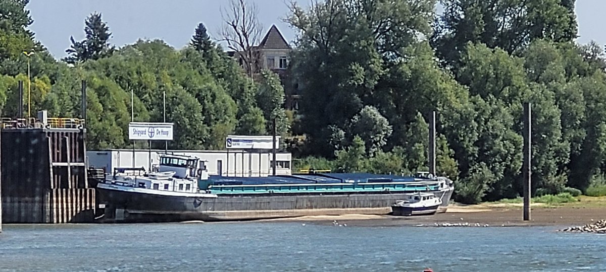 johan_klos's tweet photo. Goedemiddag nou was ik hier vlakbij kan ik deze #foto ook maken van deze 2 #schepen die vast liggen bij de #scheepswerf #dehoop in #Tolkamer #laagwater #weerfoto #binnenvaart https://t.co/hnHnjyB9Ct