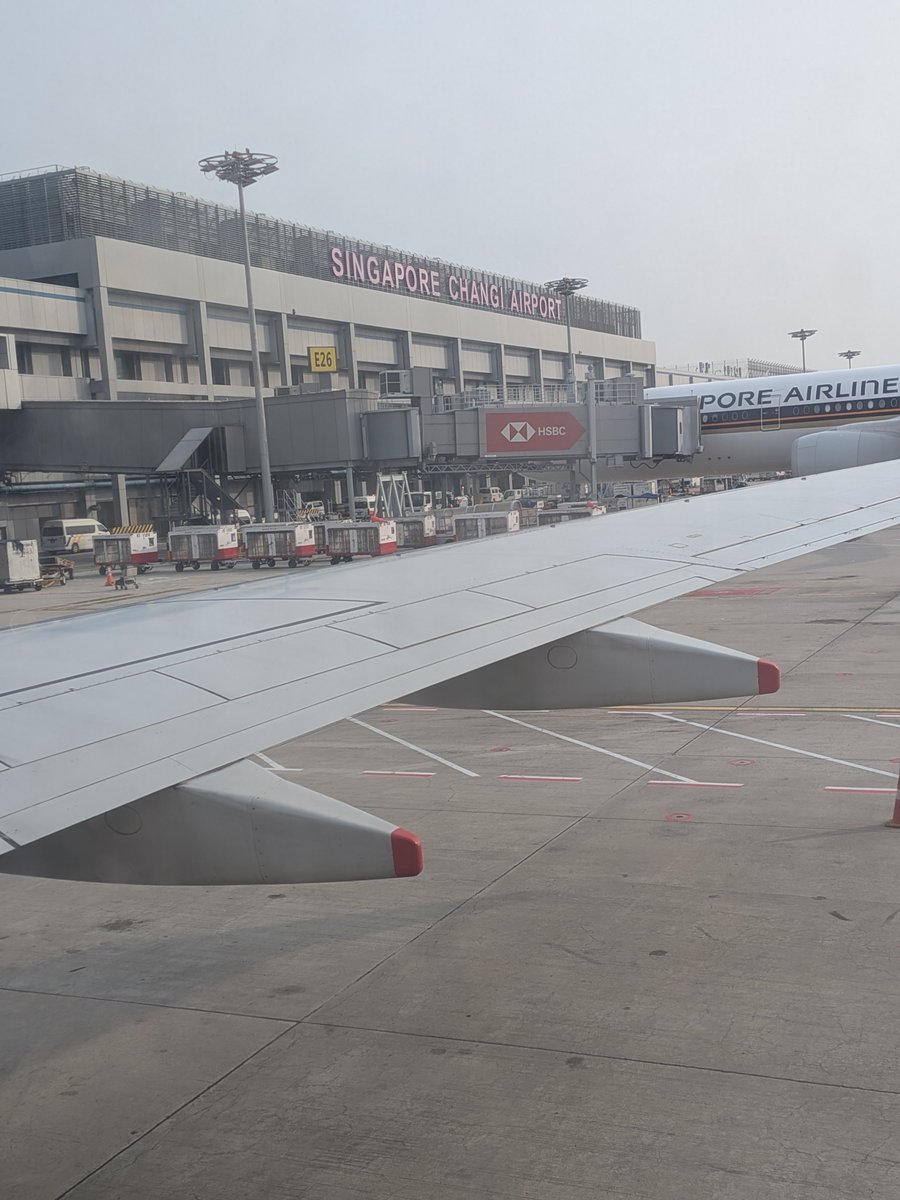 ridanceri07mk's tweet photo. 大好きな場所に乗り継ぎで一瞬✈️ https://t.co/3JRyHs64pT