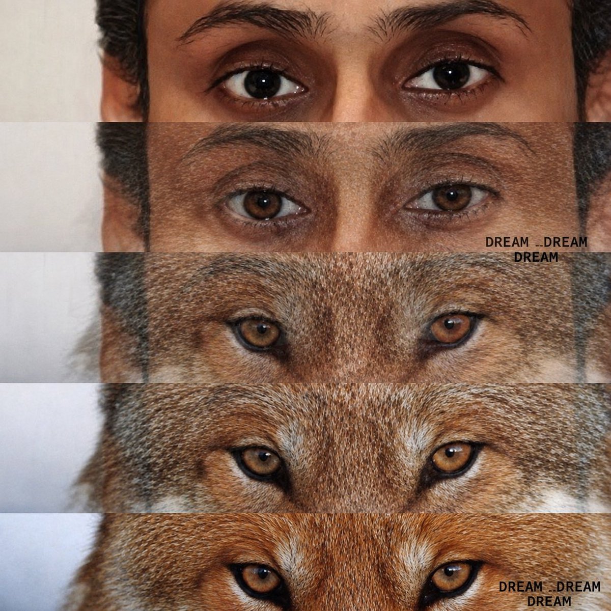 NaiF__fcb's tweet photo. @azoo_alenzii عيون ابو حصين لايقه عليه https://t.co/cv1YzeInGt