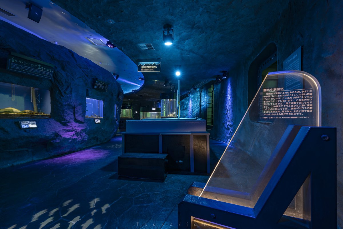 tsukarium's tweet photo. 窓の向こうに広がるのは本物の海中風景。
氷海域では世界初であり、日本最北端の海中展望塔「氷海展望塔オホーツクタワー」
ミニ水族館も併設されており、海の中にいるとは思えないほど空間も広く見応えがあります https://t.co/UZR7cZ1G21
