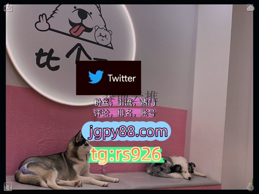 a27269325's tweet photo. Be happy in every single situation.
注册号推广外🧠facebook推特矩阵系统、Twitter矩阵系统、X矩阵系统
上门推特账号推特软件长春
推广批量发帖、多账号管理、推广营销围992105推特账号
矩阵互动🌞輔助工具🌂宁波代发成1都、杭1州、重1庆、西1安   🛠客.服看→资.料
海外获客🌺互推助手🎌数字 https://t.co/PNWewVkngM