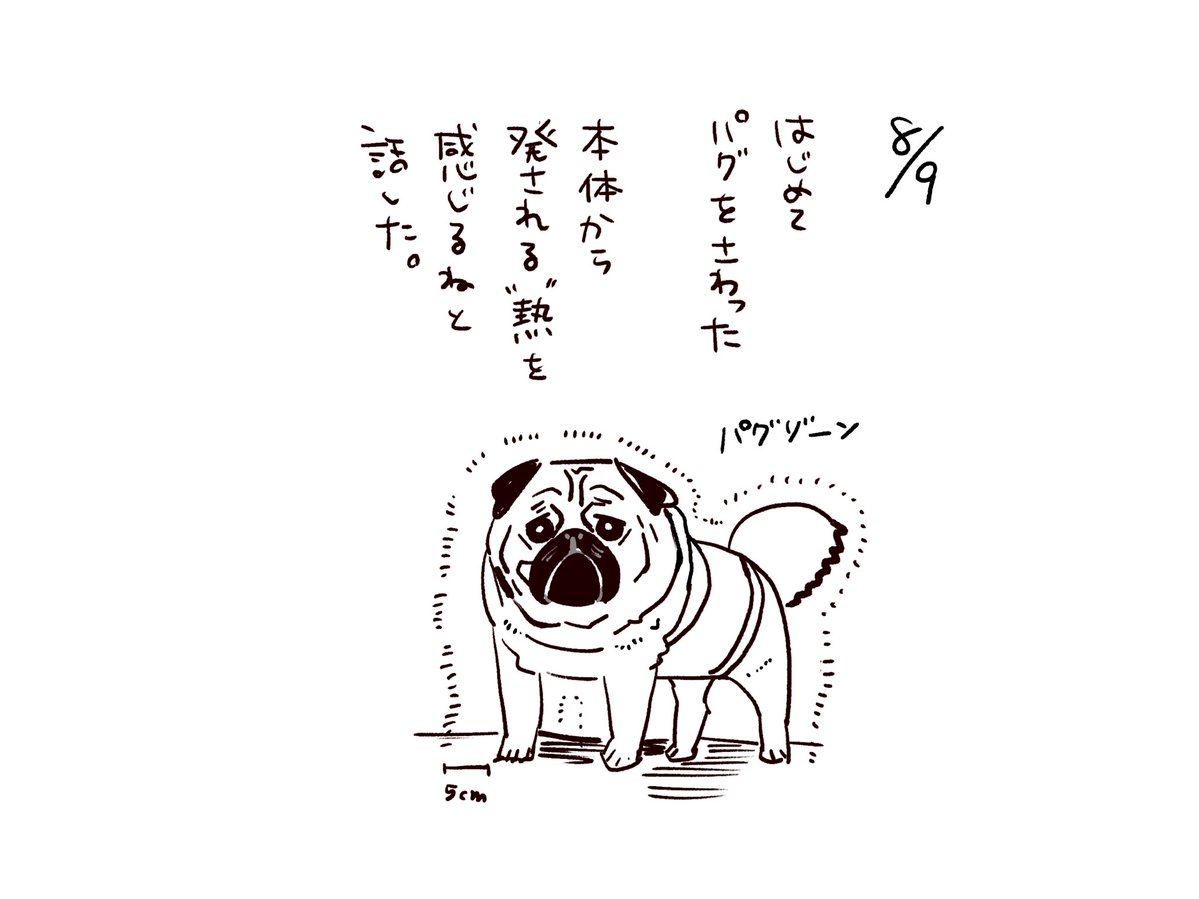 nada_nagomda's tweet photo. https://t.co/3ehdTxQ8YC