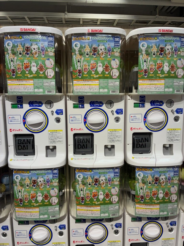 gashacoco_IKB's tweet photo. 商品情報🦉📢

#どうぶつの森つながりんぐチャーム

地下1階で販売しています🍎
※商品はなくなり次第終了となります。

#gashacoco池袋
#池袋 https://t.co/uATM8IrCQM