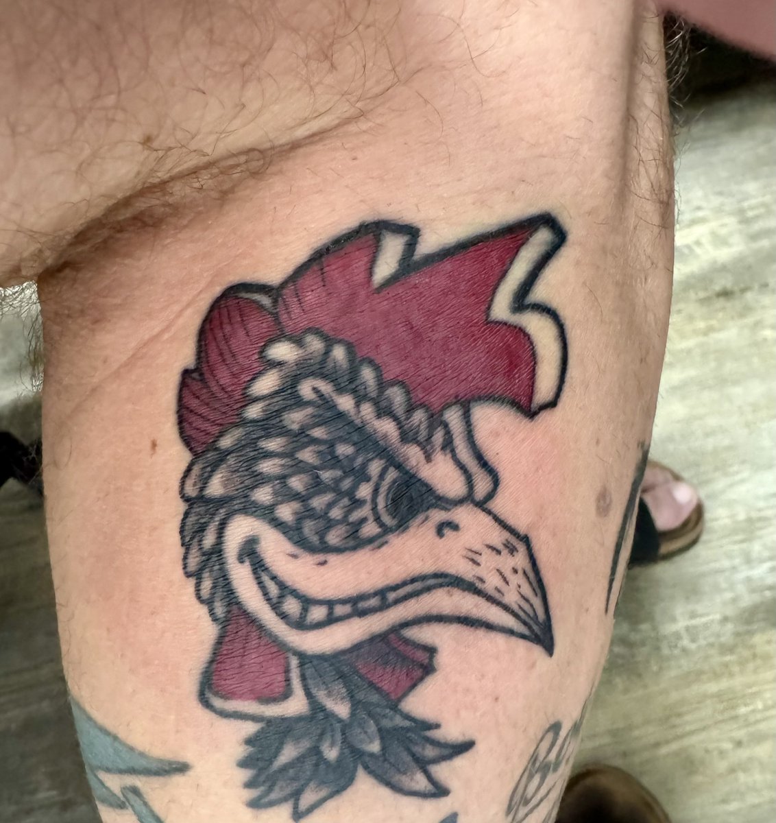 kupton813's tweet photo. A new one #spursup #gamecocks #gococks https://t.co/l463nZfZ0p