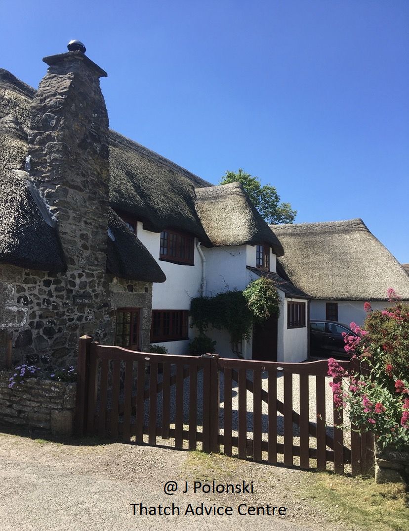 ThatchAdvice's tweet photo. #MondayMention
Our Thatch with Character Picture Competition ends at midnight 1st Sept. Couple more weeks to get your 6 entries in. Be in it to win it & good luck to all entrants.
Thanks to J Polonski for their entry with lovely blue skies.
https://t.co/uSdYIbI972 https://t.co/xntIQ06Wpr