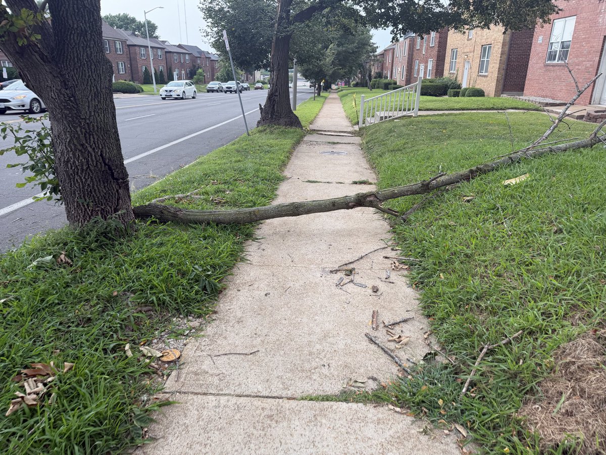 jdetometro's tweet photo. .@stlcsb downed limb blocking sidewalk in front of 6917 Chippewa https://t.co/W5lYkYVBFS