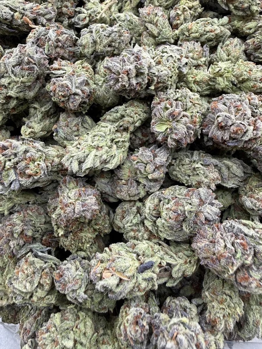 1010boysdispens's tweet photo. #weedflorida #weednewjersey #weedohio #weedcalifornia #weedfrance #slam #spun #pnp #gay #stud #drugtwt #drugstwt https://t.co/bfzDsml9dd