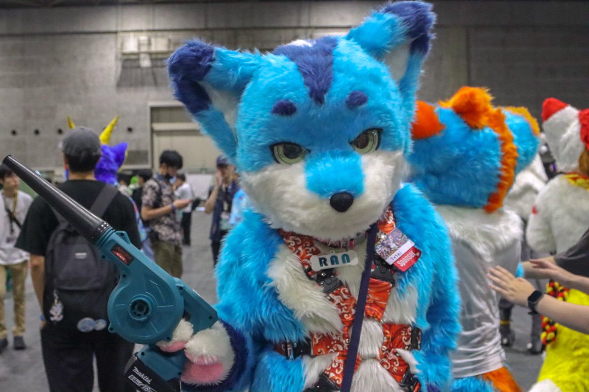 satorou1034's tweet photo. ランさん

やっと会えました〜　（JMoFでは会えず…）
色々と話せて楽しかったです‼︎

凛々しい立ち姿、本当にかっこいいですな〜‼︎
ハーネスや首輪が似合っていました

しかし、手に持っているブツは何に使うのだろう…？

#OFFF2026 https://t.co/yCGbF16fsI
