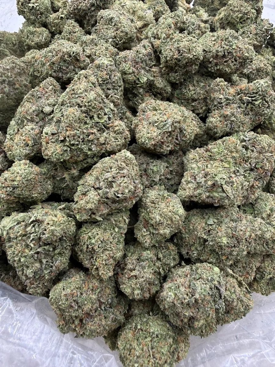 1010boysdispens's tweet photo. #weedflorida #weednewjersey #weedohio #weedcalifornia #weedfrance #slam #spun #pnp #gay #stud #drugtwt #drugstwt https://t.co/bfzDsml9dd