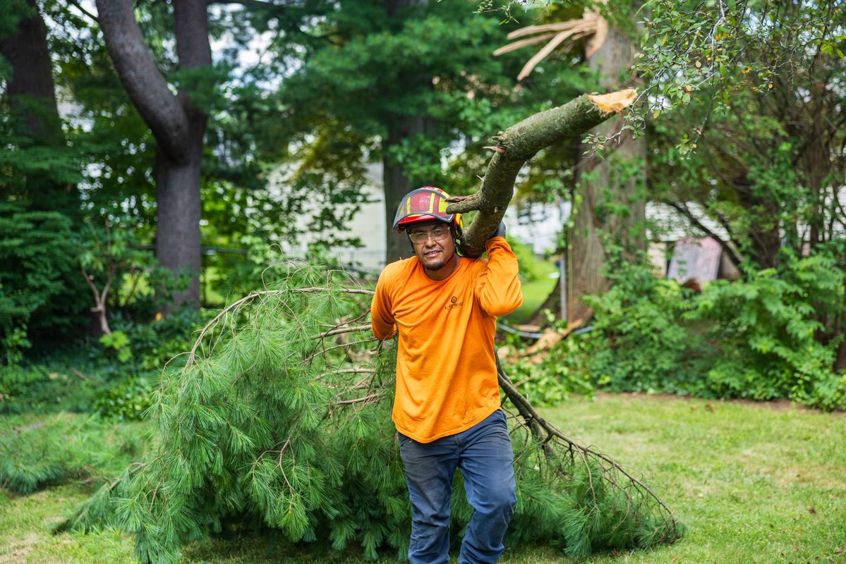 KJTreeService's tweet photo. The right equipment. The right training. The right team. Safety is always a priority at K&amp;J. 🌳
-
-
-
#treeremoval #treework #treeservice #arboristlife #connecticut https://t.co/crZPVzbui1