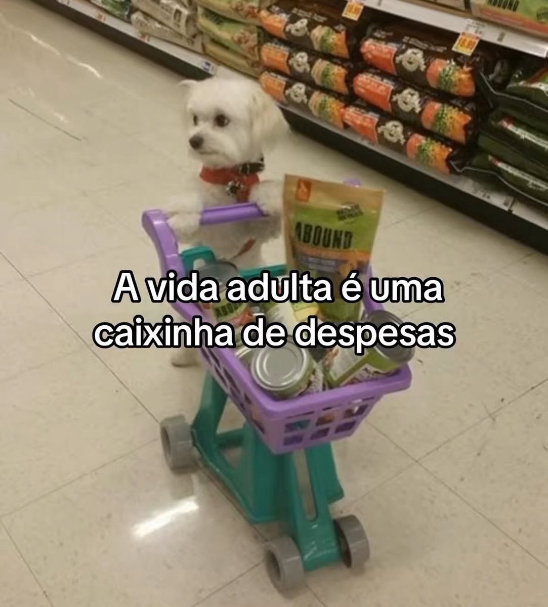 paginalixo1's tweet photo. https://t.co/iUfRb3hCLJ