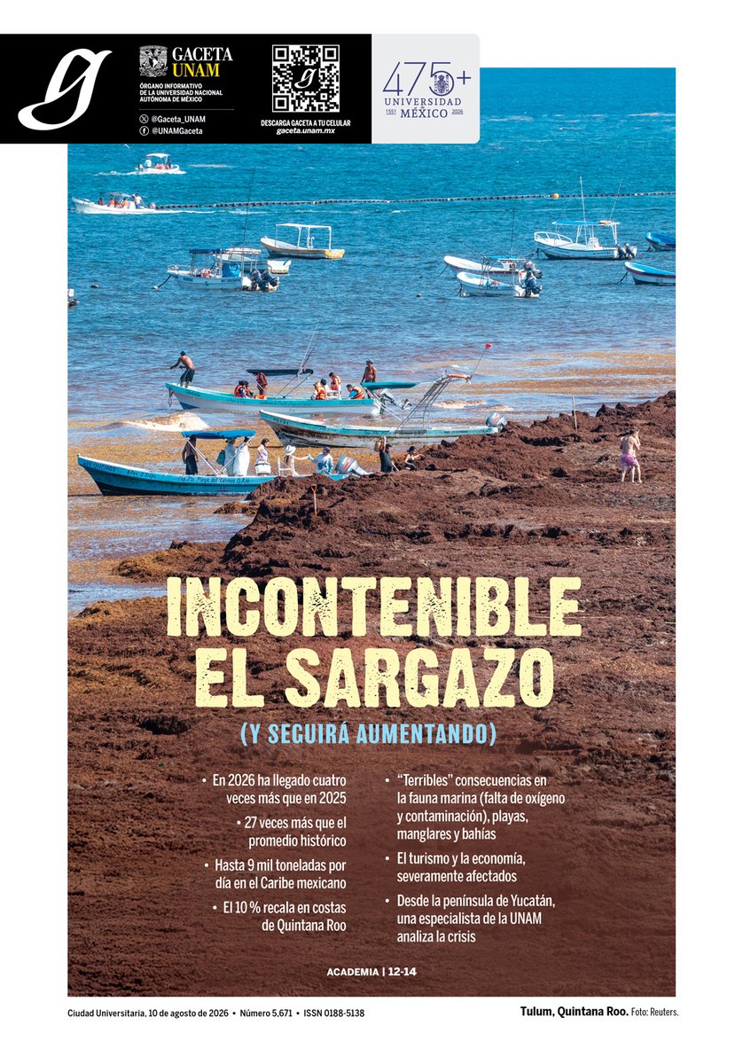 UNAM_MX's tweet photo. #PortadaGaceta Incontenible el sargazo (y seguirá aumentando) > https://t.co/z558TcIrF5

Consulta la edición completa de @Gaceta_UNAM > https://t.co/njCfGqWCUo https://t.co/GmdA8AqWWn