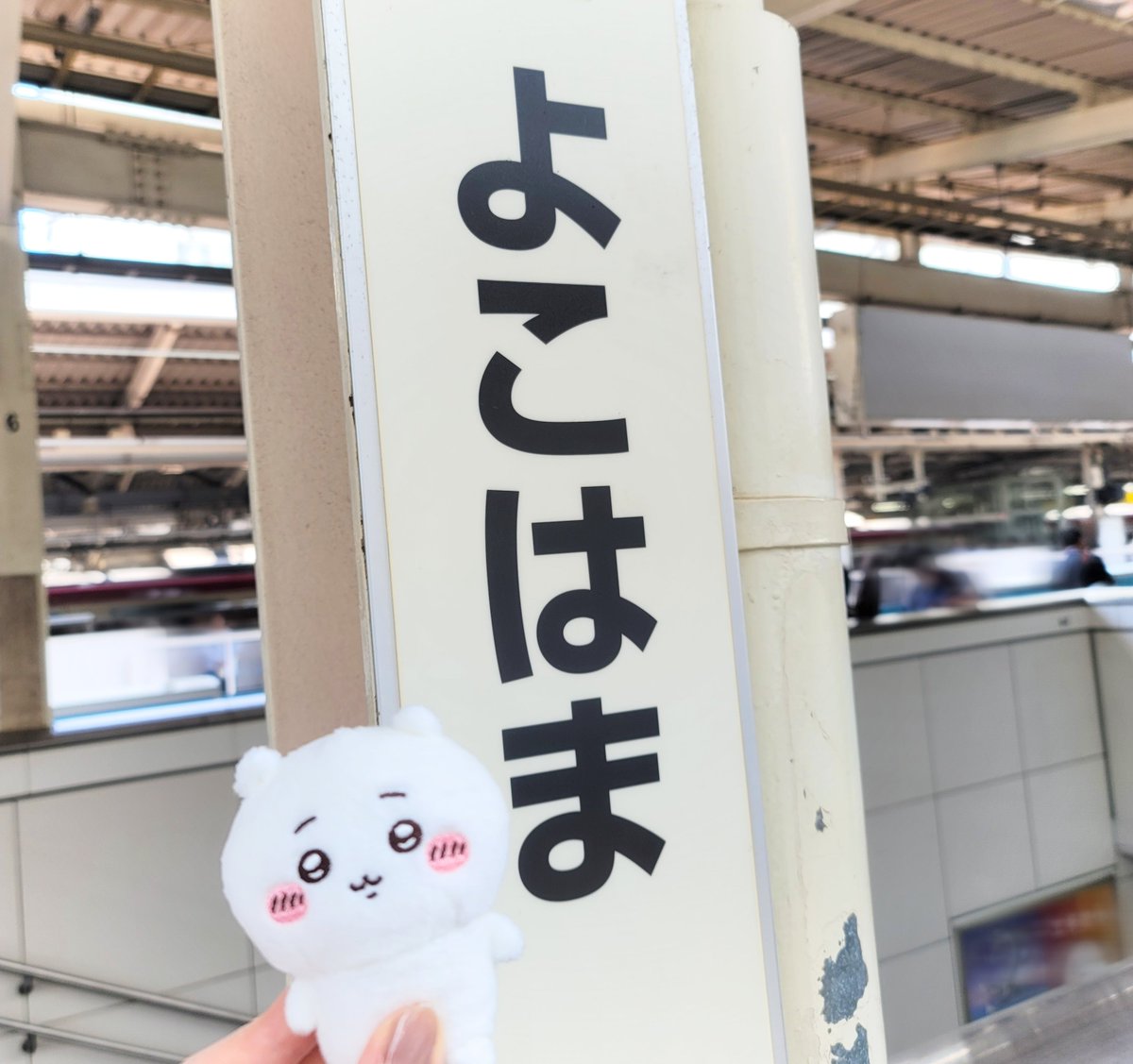 _cion0log_'s tweet photo. (̨̡՞ . .՞)̧̢ https://t.co/tytECPH05a