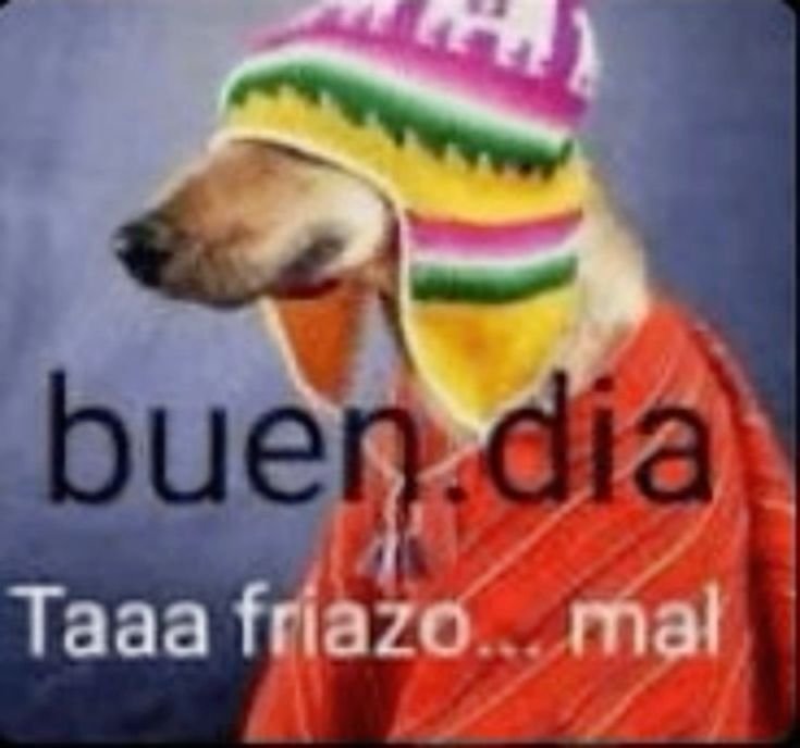 abrumaiite's tweet photo. olaa , d nuevo a la u chetumare https://t.co/G3wppoIm7G