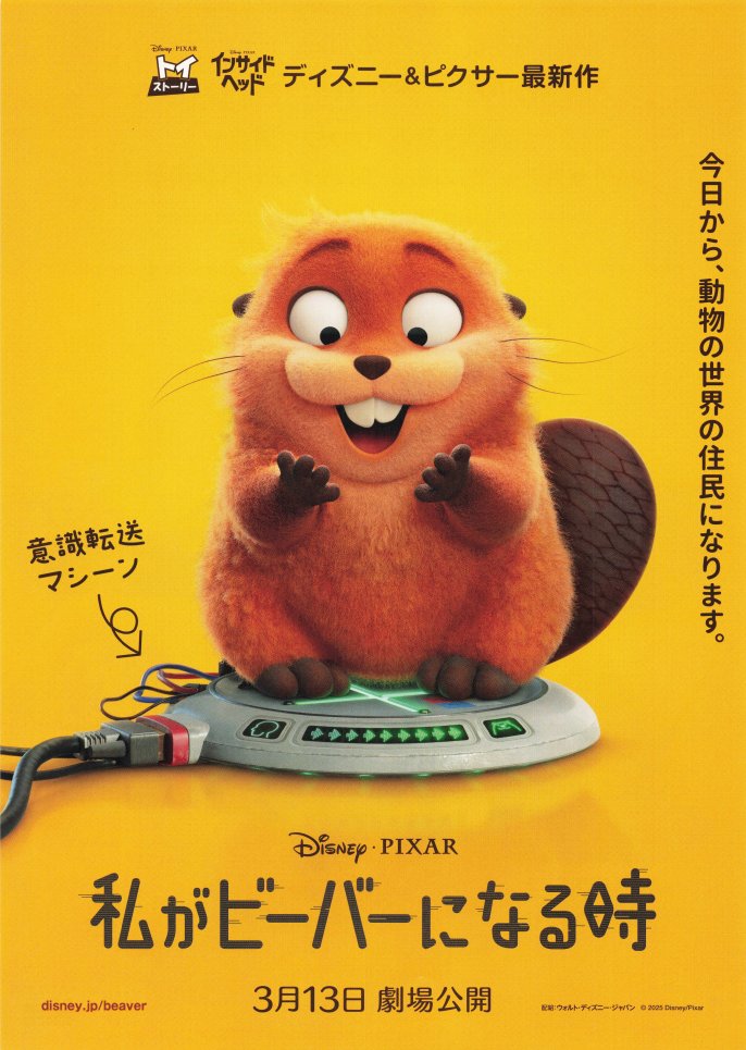 chiguris_a's tweet photo. Disney+で「私がビーバーになる時」を鑑賞。予想よりかなりぶっ飛んだ映画で面白かった！
人間モードと動物モードでのビーバーの描き分けが、とても可愛い。 https://t.co/2AWvG7WLUu
