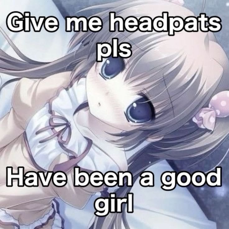 chccohoee's tweet photo. i want headpats i want headpats i want headpats i want headpats i want headpats i want headpats i want headpats i want headpats i want headpats i want headpats i want headpats i want headpats i want headpats i want headpats i want headpats i want headpats i want headpats i want h https://t.co/5uMzIQNmUU