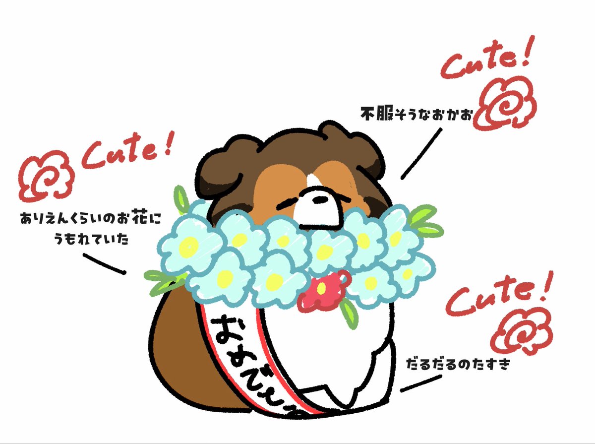 m_Earl0116's tweet photo. いたぁー！みつけたー！！

おめでとう！！🎉🎂✨ https://t.co/jR5mJkg82z