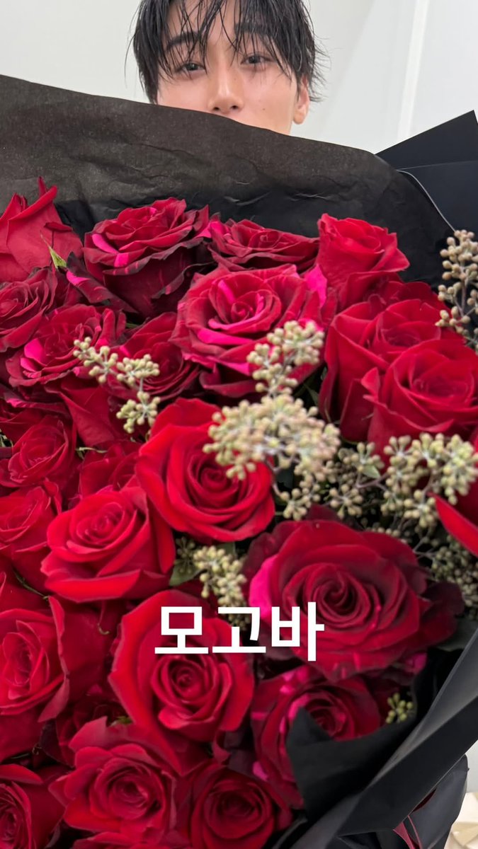 CentralATEEZBR's tweet photo. 📷 | 10.08.2026 –  Nova atualização do #SAN no Story do Instagram. 

~🪨
#ATEEZ #에이티즈 @ATEEZofficial https://t.co/h1A9JIy1HN