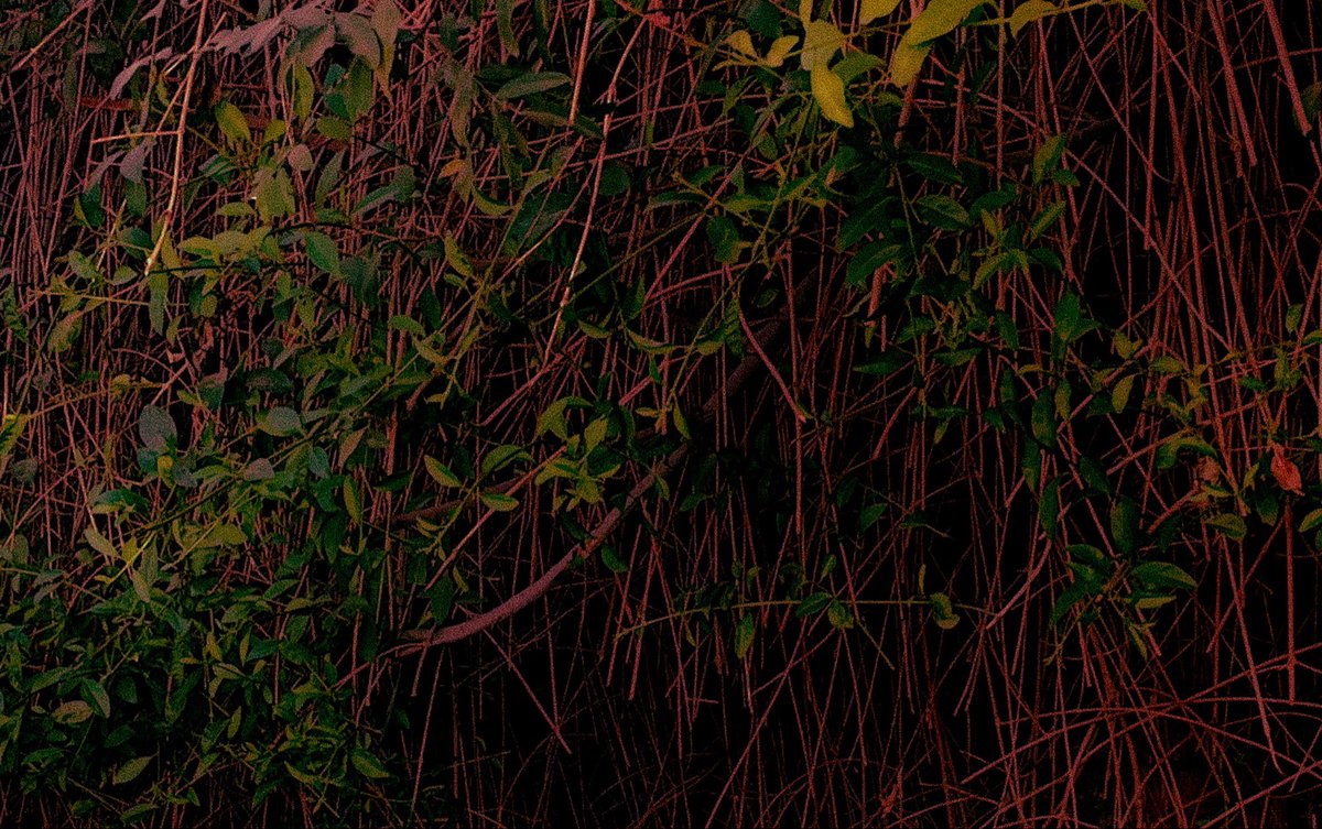 virtualchrctr tweet picture