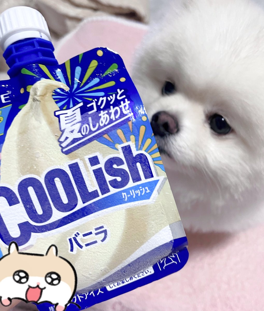 000919m's tweet photo. 夏始めました🍨 https://t.co/EDObzsN305