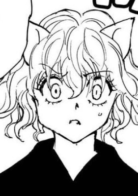 TheCurlynator's tweet photo. @Melodic_Lemons3 Palace invasion pitou is the prettiest character togashi has every made https://t.co/zvyoTp7ZEA