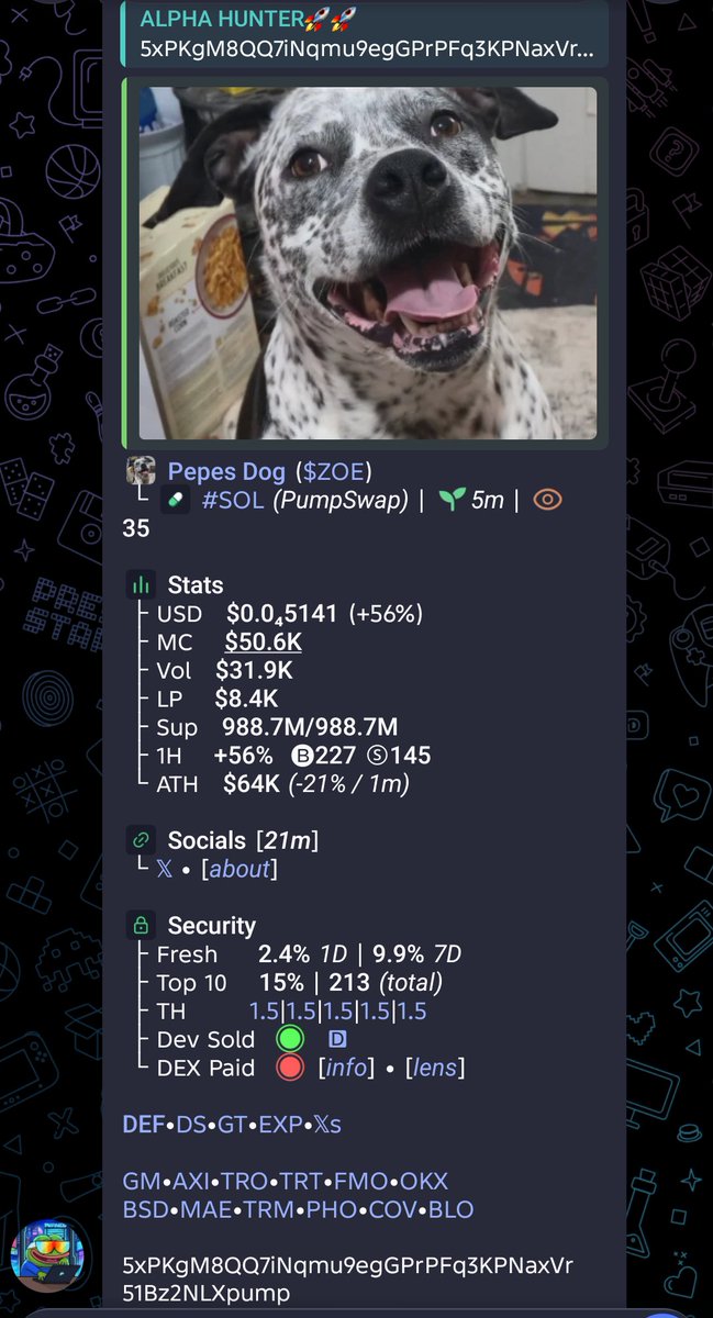 Alpha_hunter002's tweet photo. CA>

5xPKgM8QQ7iNqmu9egGPrPFq3KPNaxVr51Bz2NLXpump https://t.co/NSSpPewdls