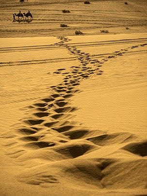 Hail_99999's tweet photo. من المحزن 

أن يقتتل أصحاب الدم 
الواحد 

فوق أرض غريبه . https://t.co/di54NZv7GG
