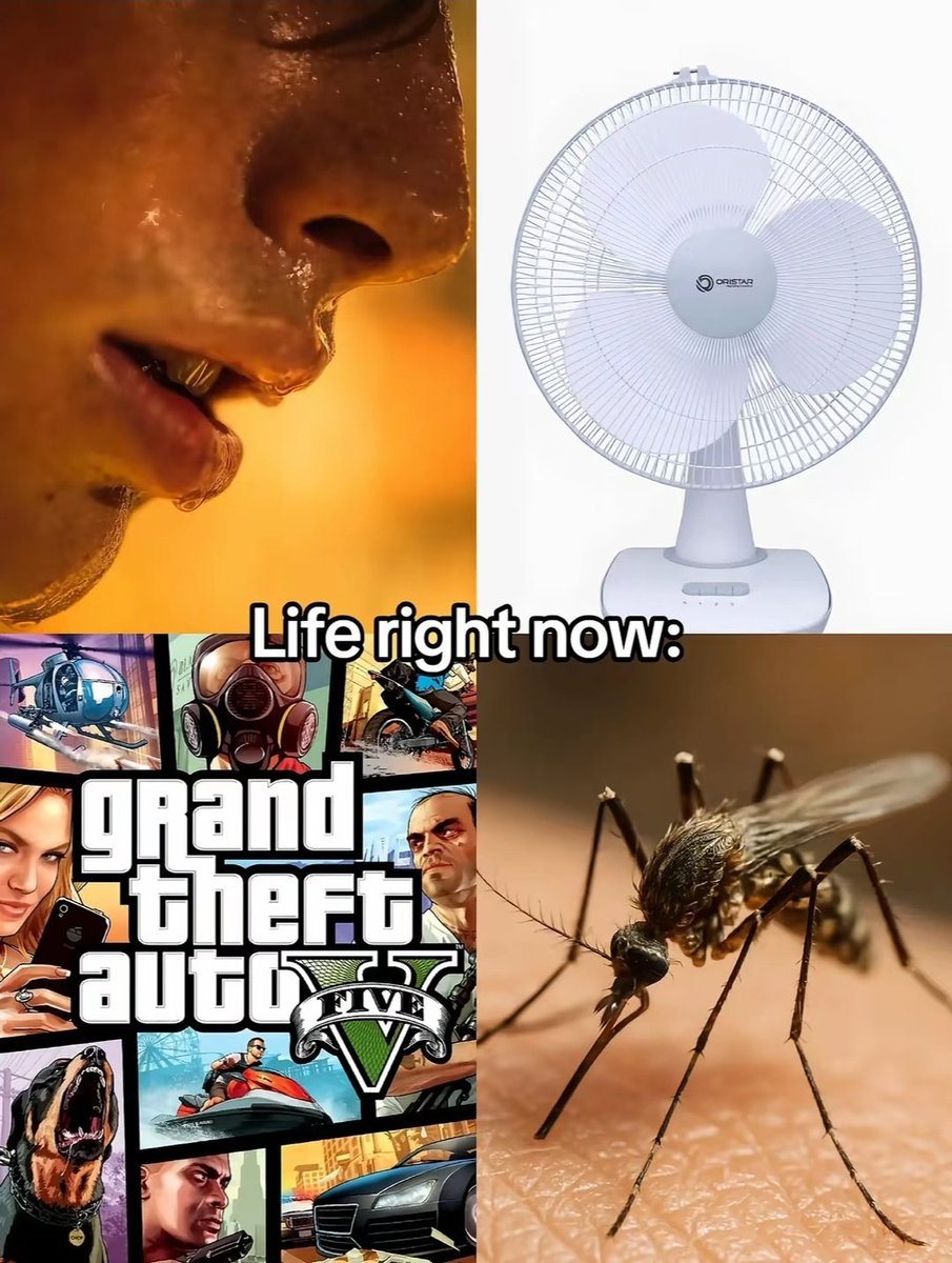 BleshaGamer's tweet photo. Life now Vs Life in 3 months https://t.co/bDwlWg5uXa